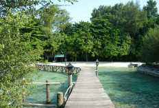 Pulau Kotok Tawarkan Pantai yang Menawan