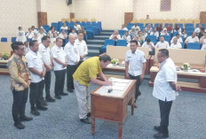 Perdagangan Kota Lubuk Linggau Menurun Sejak 5 Tahun Terakhir Ini yang Harus Dilakukan