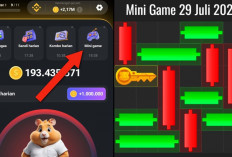 Update Terbaru Kunci Mini Game Hamster Kombat Hari Ini 29 Juli 2024, Ikuti Polanya Dalam Waktu 30 Detik