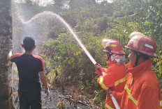 Sepanjang Agustus Dua Hektare Lahan Kosong  di Lubuk Linggau Terbakar