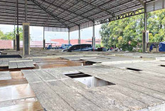 Pemkot Lubuk Linggau Data Pedagang, Untuk Mengisi Lapak Belakang Pasar Bukit Sulap yang Sudah Lama Kosong