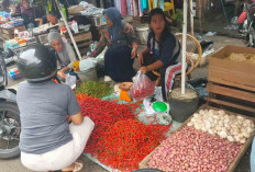 Harga Cabai Merah Turun, Cabai Rawit Justru Naik