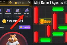 Update Terbaru Kunci Mini Game Hamster Kombat Hari Ini 1 Agustus 2024, Ikuti Polanya Dalam Waktu 30 Detik