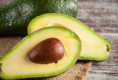  Alpukat, Buah Lezat Kaya Manfaat untuk Kesehatan Tubuh