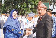 Rismar Riansih Guru SMAN 1 Lubuk Linggau Go Internasional, Begini Kisahnya