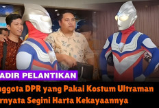 Anggota DPR yang Pakai Kostum Ultraman Saat Pelantikan, Ternyata Segini Harta Kekayaannya 