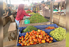 Tomat Buah Segudang Manfaat Lagi Naik Daun, Harganya Tembus Rp 20 Ribu Per Kg 