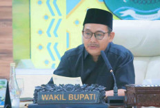 HUT Kabupaten Muba ke-69 Diawali dengan Festival Randik