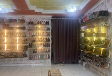 Toko Ini Hadirkan Tas, Sandal dan Sepatu yang Kekinian
