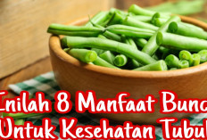 Inilah 8 Manfaat Buncis Untuk Kesehatan, Yuk Simak Disini