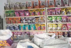Pusatnya Makanan Kucing Kiloan hingga Kemasan di Lubuk Linggau