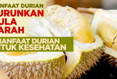 Durian Raja Buah Banyak Manfaat dari Melawan Infeksi dan Turunkan Gula Darah  