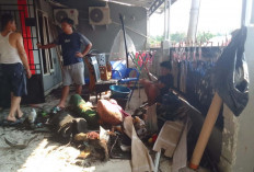Warga Lubuk Linggau Nyaris Kehilangan Rumah Gara-gara Anak Main Korek Api