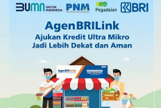 Mudah Loh Pinjaman UMi BRI hanya Diajukan lewat Agen Brilink, Ini Syaratnya