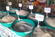 Pilihan Beras Lengkap, Pembeli Tetap Ramai Setiap Hari