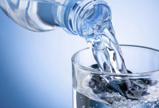 Catat! Inilah 8 Manfaat Minum Air Putih Bagi Kesehatan Tubuh 