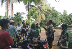 Pastikan Kebutuhan Air untuk Sawah Terpenuhi Petani di Musi Rawal Rutin Lakukan Patroli Air 