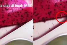 Viral Ulat di Buah Naga Menu MBG di SDn 42 Lubuk Linggau, 