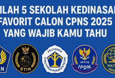 Inilah 5 Sekolah Kedinasan Favorit Calon CPNS 2025 yang Wajib Kamu Tahu
