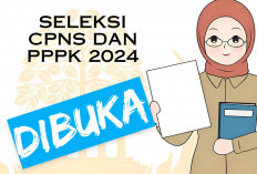 Kabar Gembira! Seleksi CPNS 2024 Dibuka Akhir Agustus, Catat Berikut Jadwal Lengkapnya