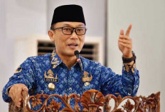 Kepala BKN Sebut Kesejahteraan ASN dan PPPK Sama, Begini Tanggapan Masyarakat