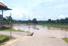 Jalan di Kelurahan Bingin Teluk Muratara Amblas, Nyaris Putus