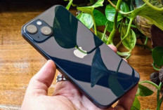 iPhone 13 Bisa Jadi Primadona Akhir Tahun, Harganya Kini Lebih Ramah Kantong