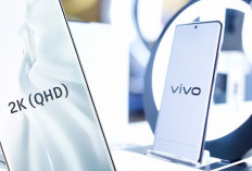 4 Rekomendasi HP Vivo Terbaru 2024 dengan Resolusi 2K, Spesifikasi Layar Tablet dan Ultrabook