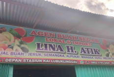 Agen Buah Lina H. Atik : Pusatnya Buah Lokal dan Impor di Lubuk Linggau