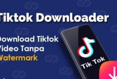 Tutorial Lengkap Download MP3 TikTok Tanpa Watermark Pakai Snaptik