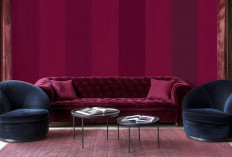 Warna Cat Dinding Terburuk 2025 Hindari Penggunaannya, Bikin Rumah Makin Murah dan Jatuh