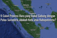 Cek, Ini Dia 9 Calon Provinsi Baru yang Bakal Gabung dengan Pulau Sumatera, Adakah Kota atau Kabupatenmu?