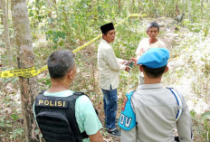 Ibu Hamil Asal Banyuasin Diserang Gajah di Musi Rawas, Nasibnya Tragis 