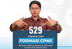 529 Formasi CPNS 2024 Resmi Dibuka BKN  dengan Gaji Rp8 Juta Lebih, Buruan Cek Rinciannya