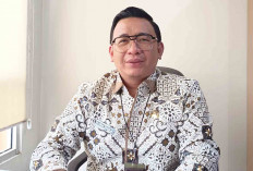 Hasil Studi Kelayakan Rekomendasikan Kawasan Industri Kota Lubuk Linggau di Selatan dan Utara  