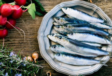 8 Manfaat Mengkonsumsi Ikan Sarden Bagi Kesehatan yang Perlu Diketahui 