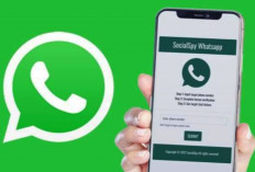 Begini Cara Menggunakan Social Spy WhatsapApp, Bisa Sadap dan Lacak Akun WA Pasangan Kalian Dengan Mudah!