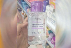Micellar Water Facetology Ampuh Atasi Minyak Berlebih pada Wajah