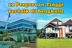 10 Perguruan Tinggi Terbaik di Bengkulu, Rangking 2 Ada di Rejang Lebong
