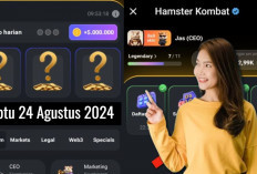 Combo Harian Hamster Kombat Hari Ini 24 Agustus 2024, Garap Hingga 5 Juta Koin Gratis