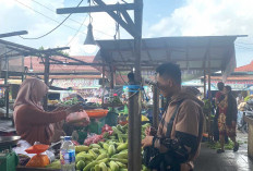 Harga Timun dan Pare Rp10 Ribu Per Kg Masih Stabil