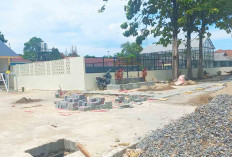 Taman Inflasi Kota Lubuk Linggau, Ini Manfaat Pembangunan dan Konsep Inovatif Budidaya 