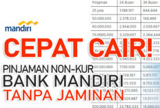 Pinjaman Non KUR Bank Mandiri 2025 Rp50 Juta, Simak Estimasi Cicilan dan Syarat Pengajuannya