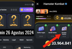 Combo Harian Hamster Kombat Hari Ini 26 Agustus 2024, Garap Hingga 5 Juta Koin Gratis