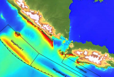 BMKG : Berada di Wilayah Megathrust Gempa Pulau Enggano 5,6 M, Pesisir Barat dan Liwa 