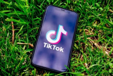 SnapTik MP3 Jadi Tools Download Lagu TikTok Terpopuler di Indonesia, Ini Alasannya