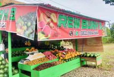 Ren Buah Buka Cabang Ketiga, Pusat Buah Premium Harga Terjangkau