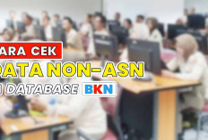 Pelamar PPPK 2024 Wajib Tahu Masuk Kategori Apa, Cek Status Database di BKN