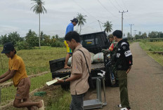 BULOG Lubuk Linggau juga Membeli Gabah Petani, Begini Teknisnya
