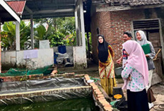 Musi Rawas Miliki Potensi Perikanan Besar, Produksi Capai 39 Ribu Ton per Tahun